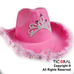 SOMBRERO COWBOY CORONA DECO PLATA Y PLUMAS ROSA x 1